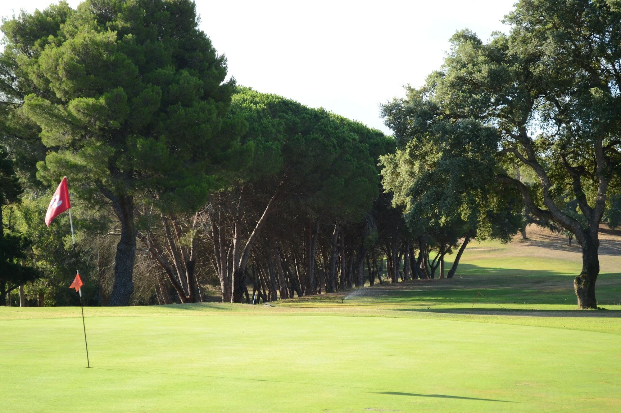 Allegroitalia Elba Golf Портоферрайо Экстерьер фото